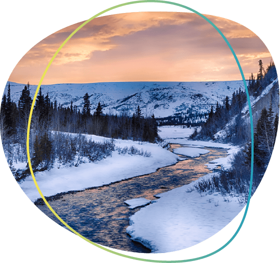 253.16 Calista Strategic Roadmap