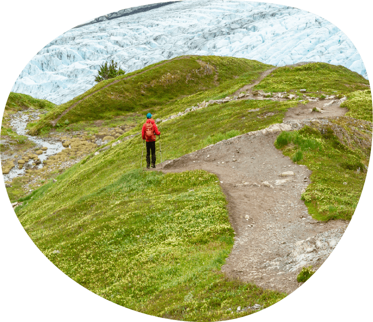a person hiking on a green mountain slope