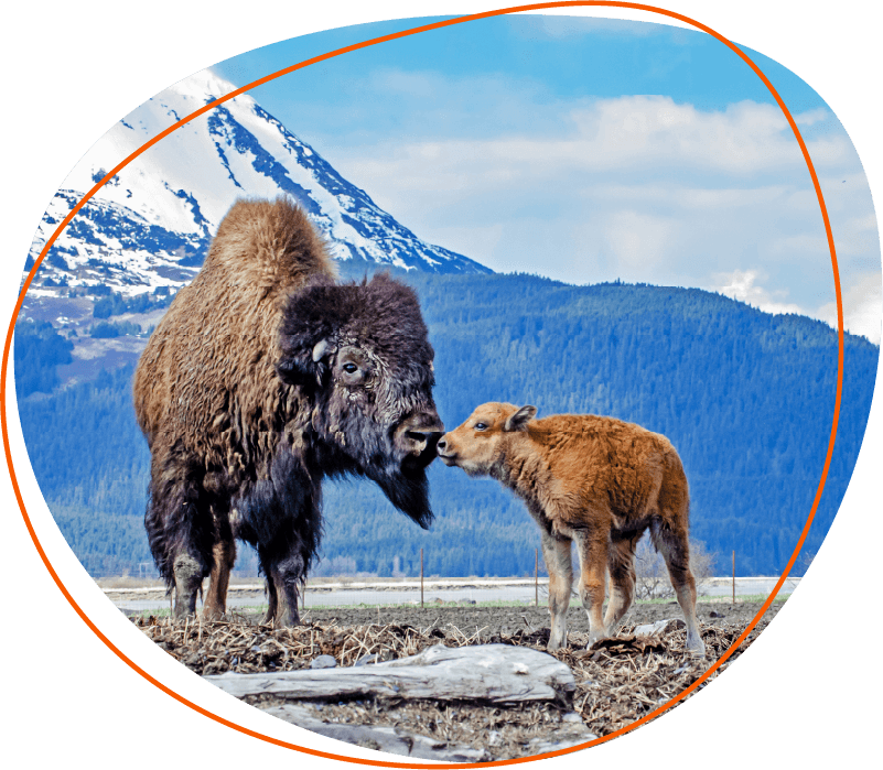 Client_ADFG_AK Wilds-8