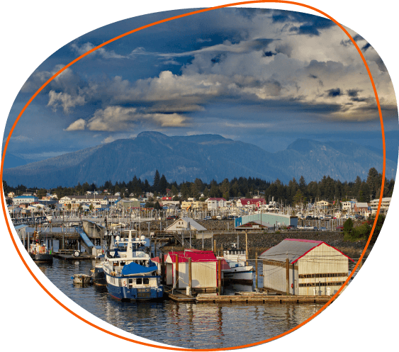 Boats docked on the water with trees and a mountain landscape behind