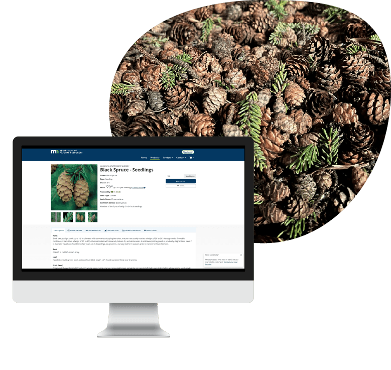 Result_MN DNR_Nursery Ordering@0.75x-8