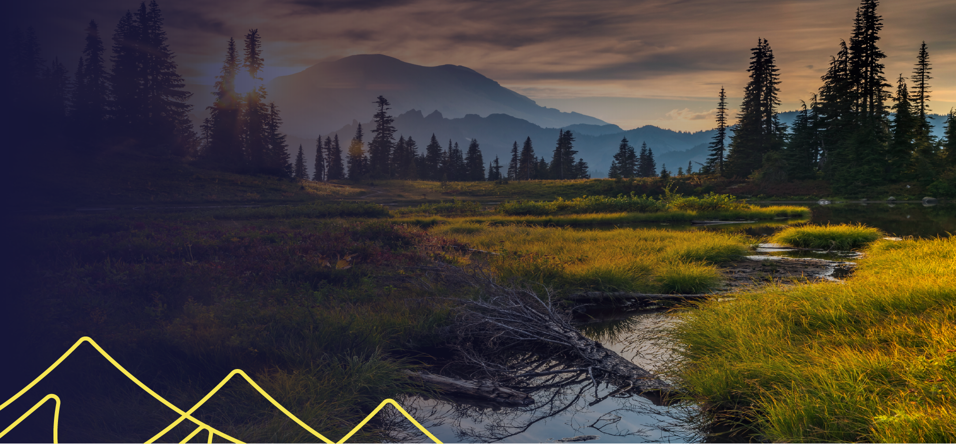 What's next_WAFundhub 0.75x